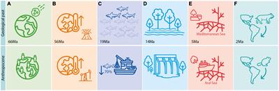 Integrating deep-time palaeontology in conservation prioritisation